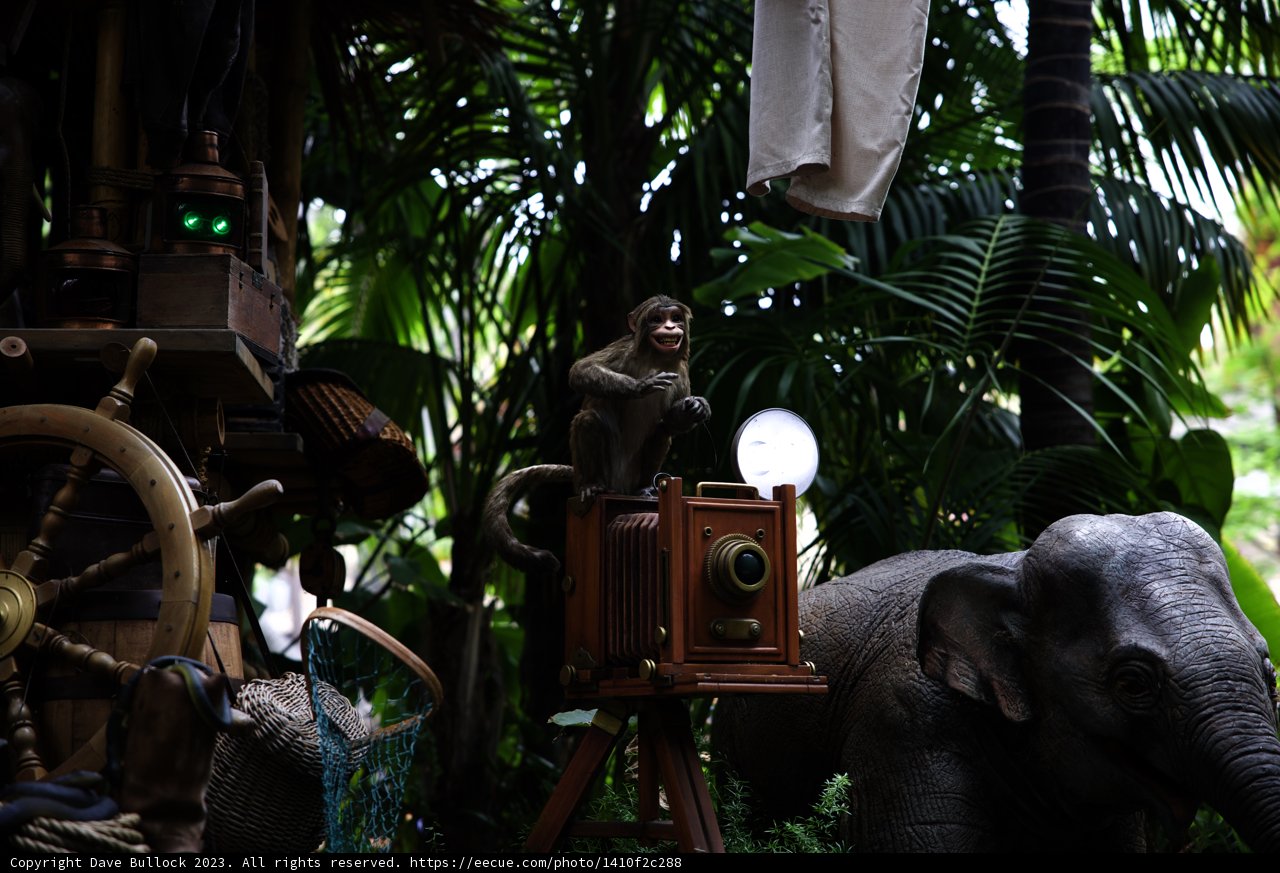 Monkey Magic at Disneyland