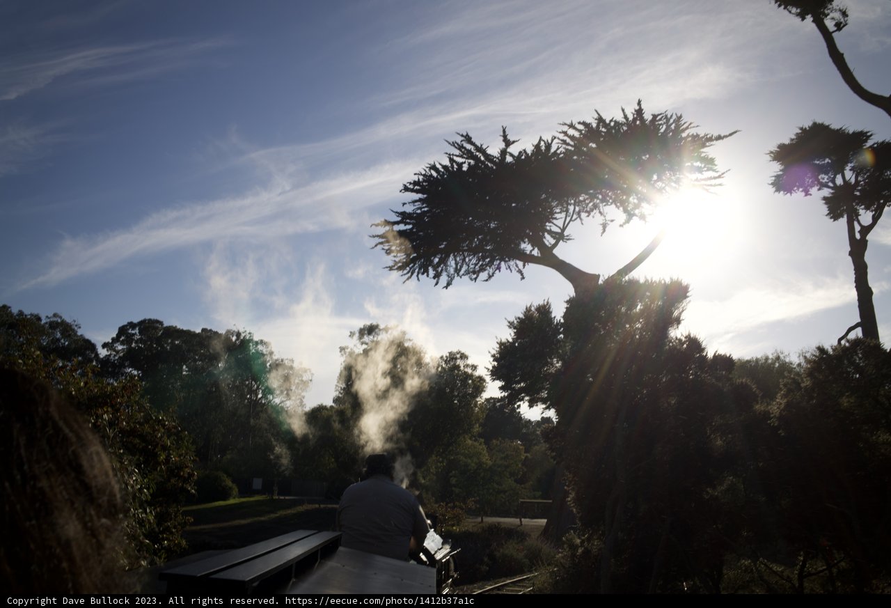 Solitude in the Sunlight