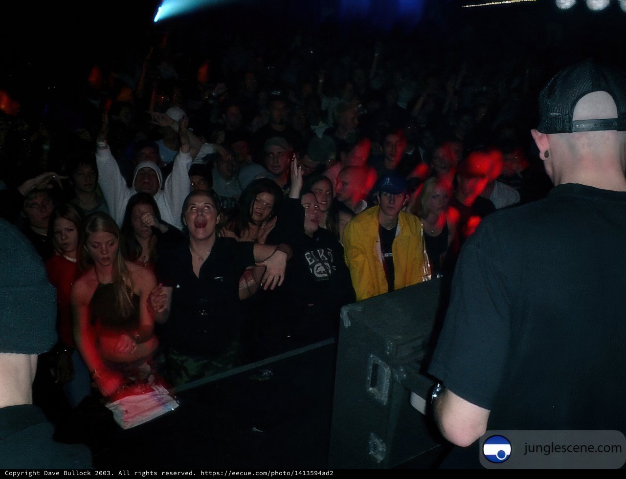 The Ultimate Nightlife Experience