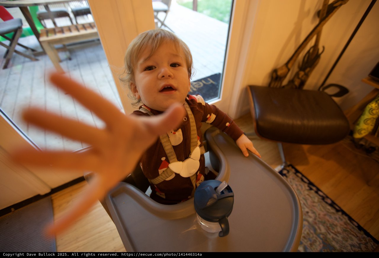 Toddler Reaching Out in Home Kitchen on Christmas