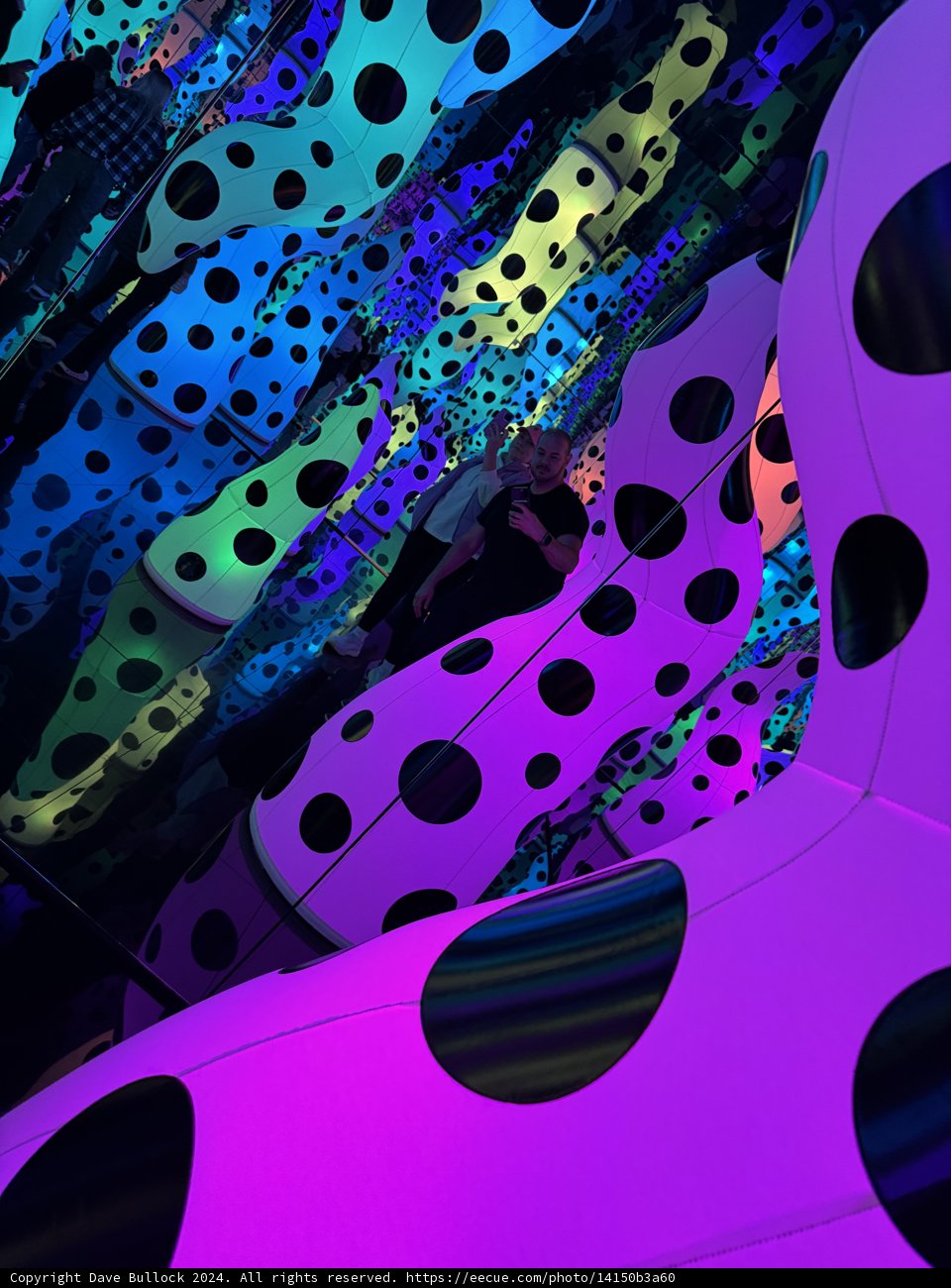 Polka Galore: A Modern Art Installation