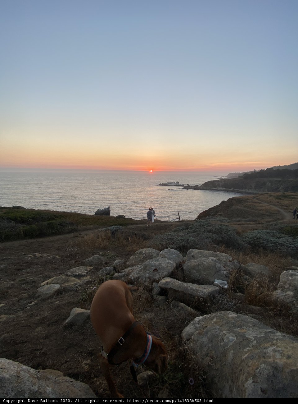 Majestic View