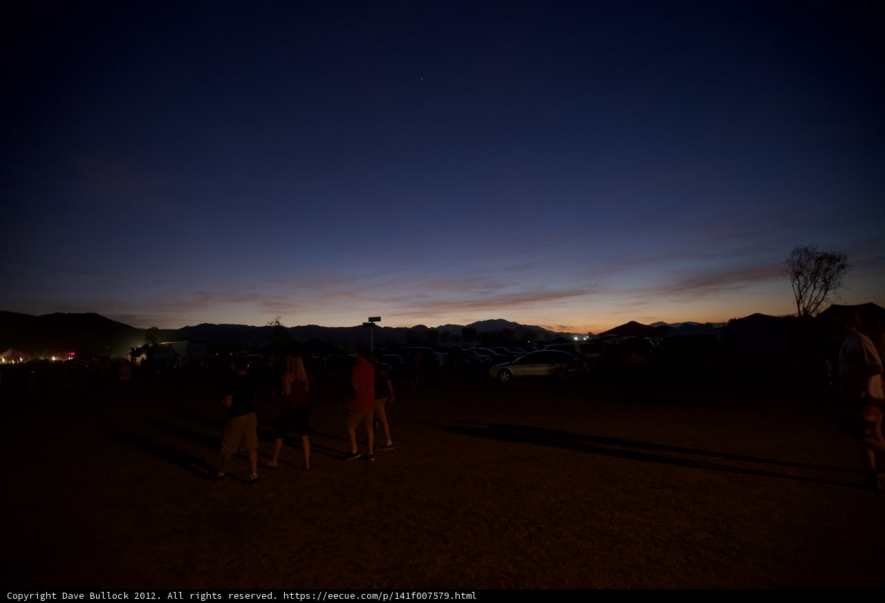 Dusk Gathering in the Desert