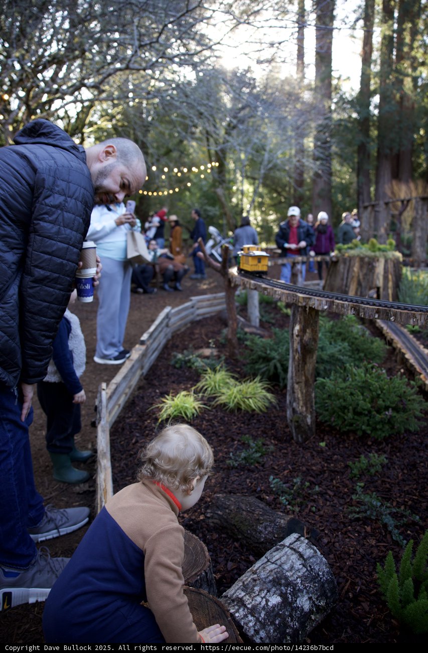 Woodland Wonderland at Thistlewyck