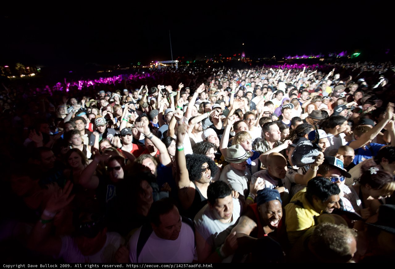 Coachella Crowd goes wild
