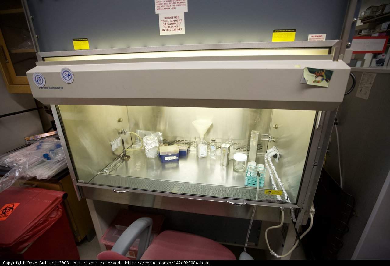 State-of-the-Art Laboratory with Ample Sink Space