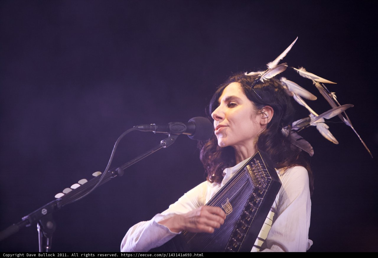 Feathered Accordionist