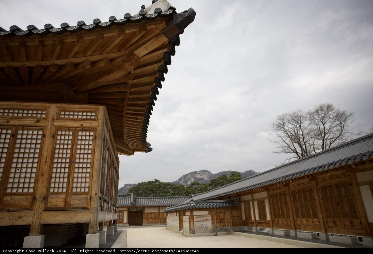 Serene Heights: Korean Architecture Meets Nature