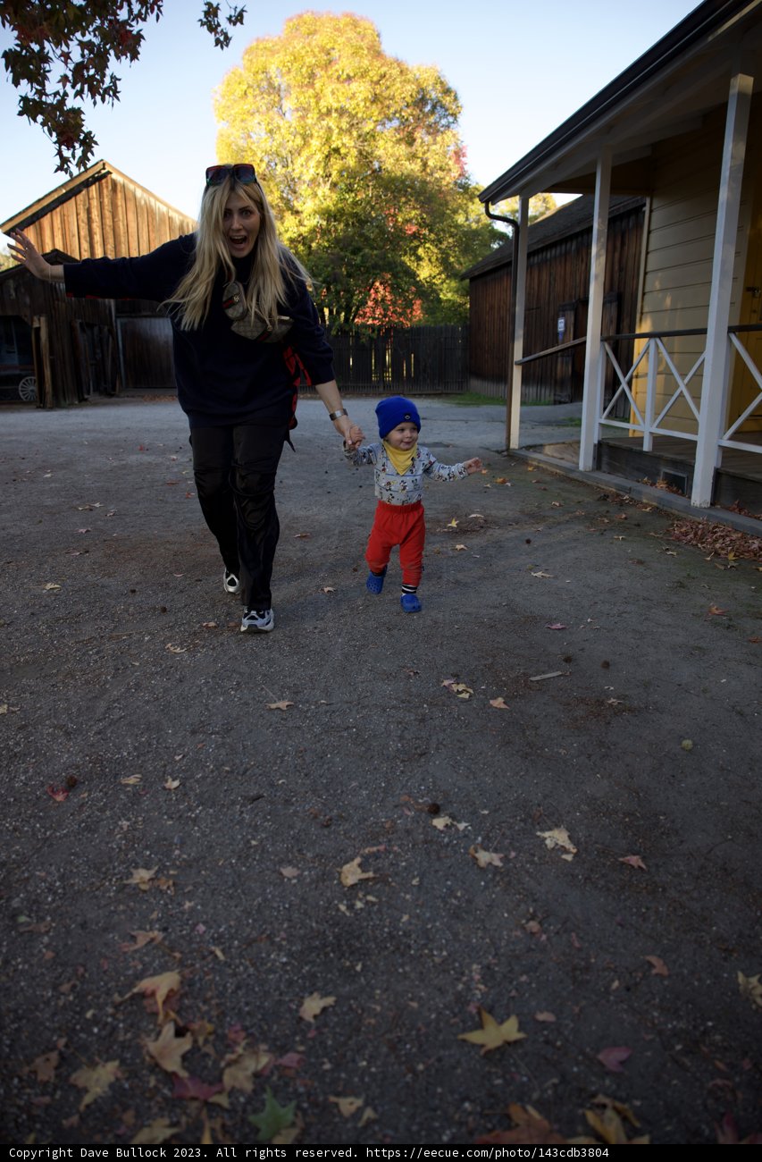 Rolling Streets of Sonoma: A Skateboarding Adventure