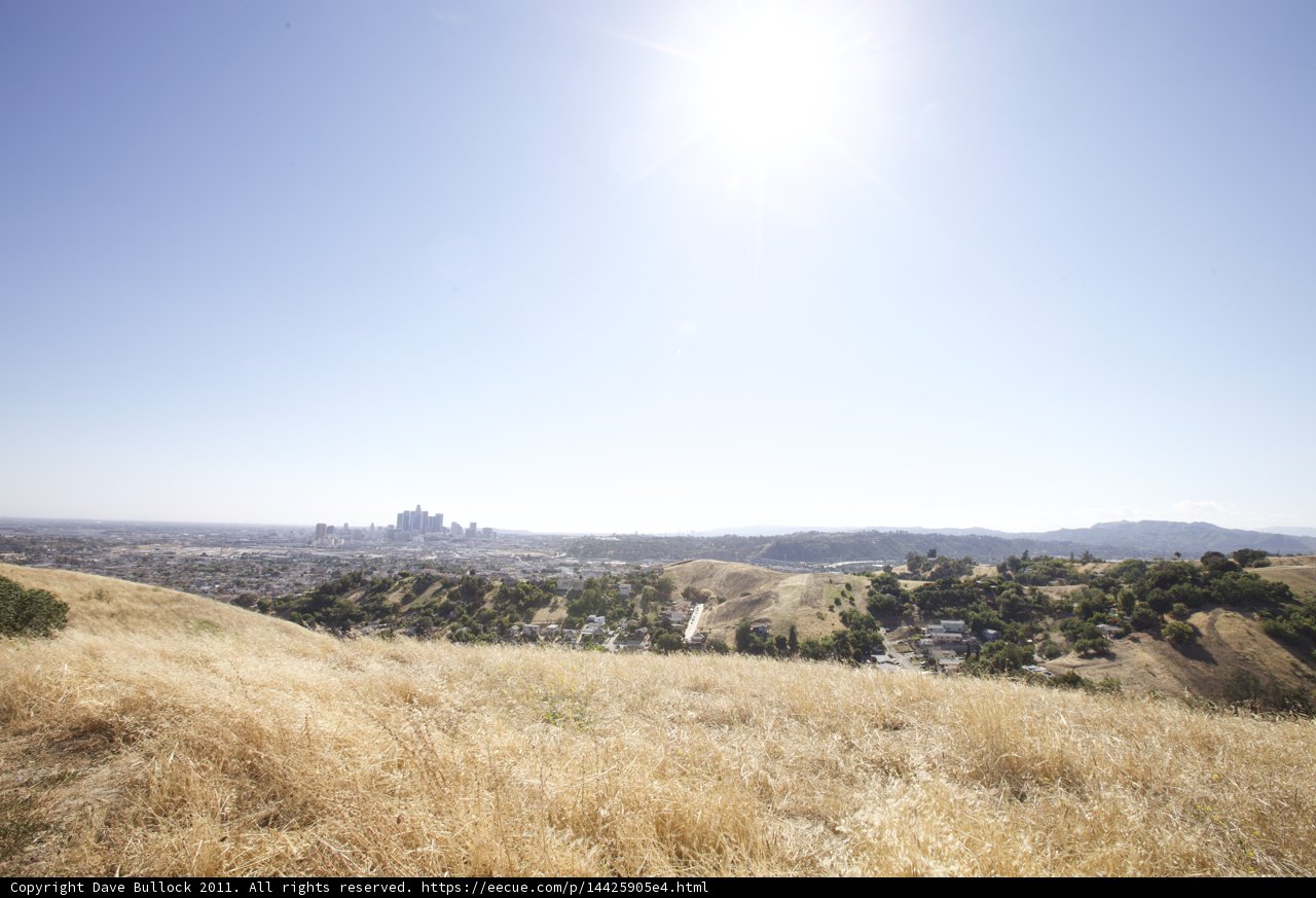 Cityscape from the Hilltop