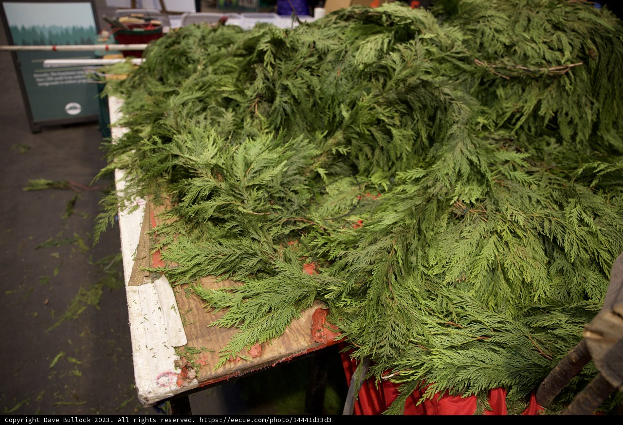 Festive Flavors of Evergreens