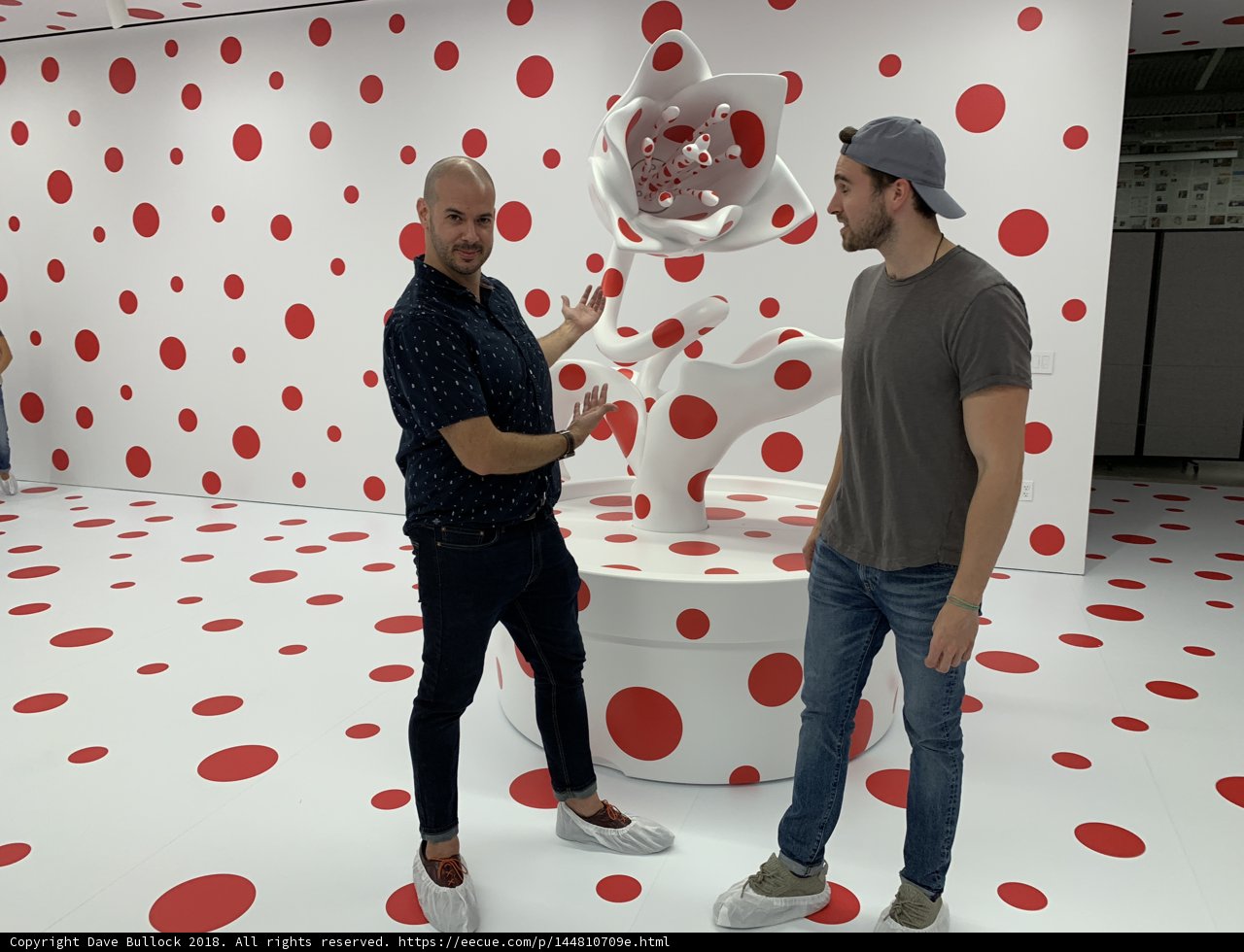 Polka Dot Delight