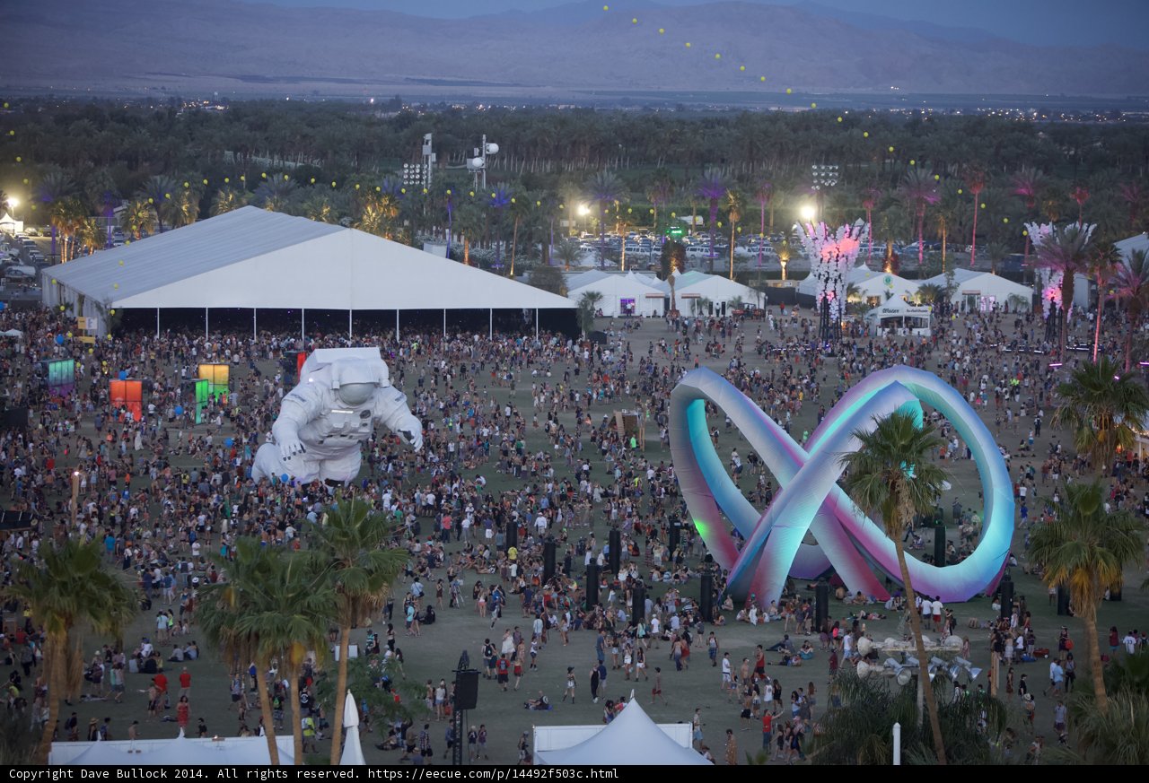 Festival Fun Under the Palm Trees