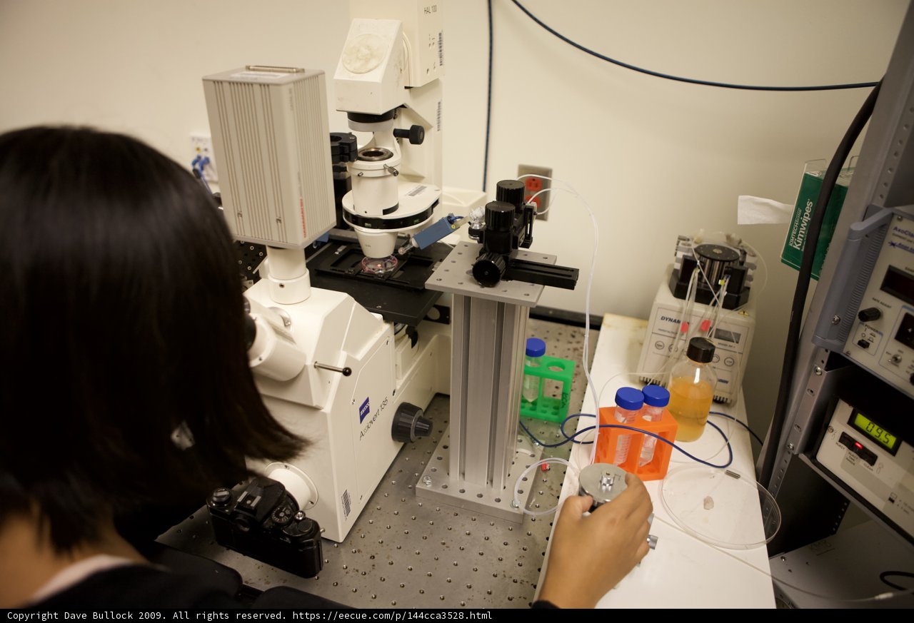 Women in Lab Examining Samples under a Microscope