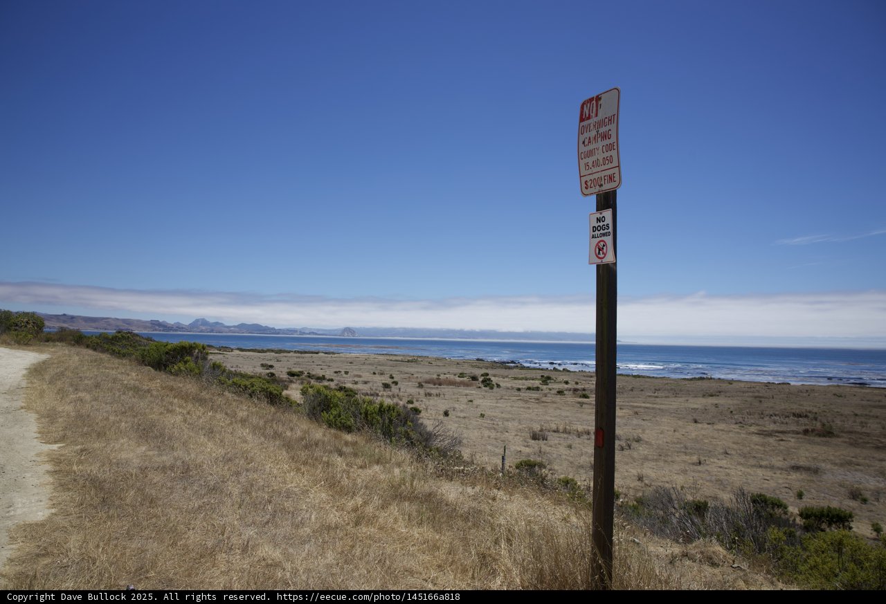 Coastal Tranquility in Cayucos