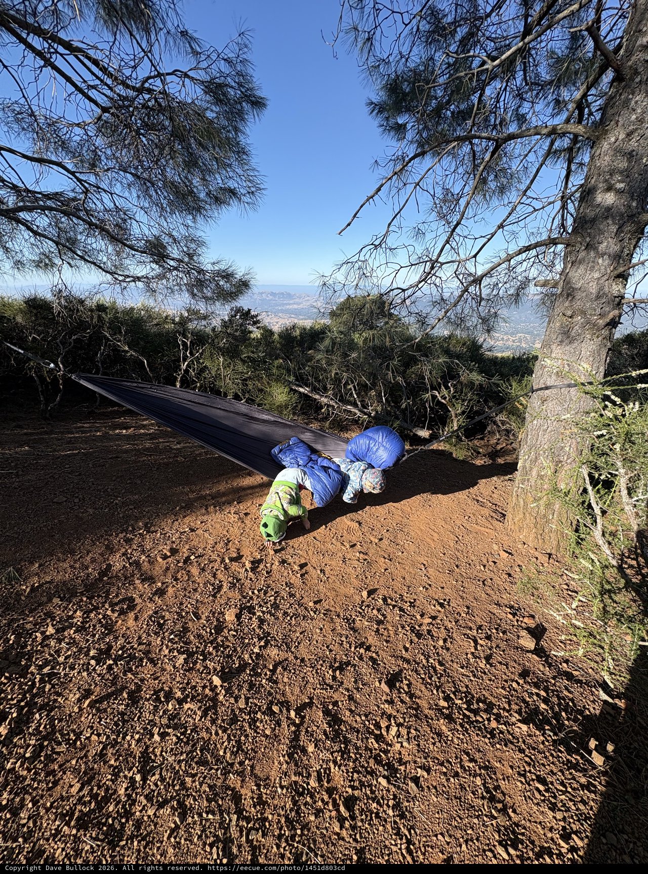 Children Resting in Hammock at Mount Diablo Summit