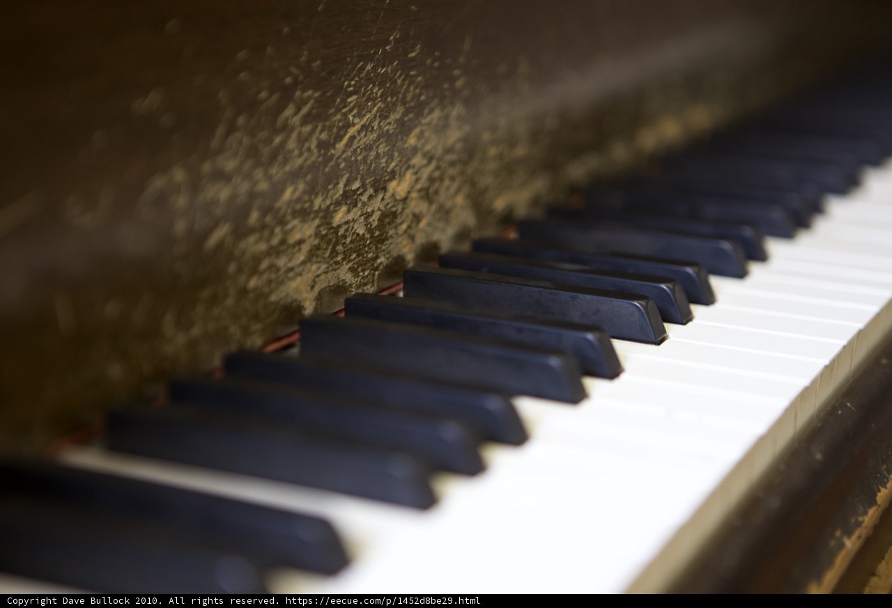 The Piano Keys