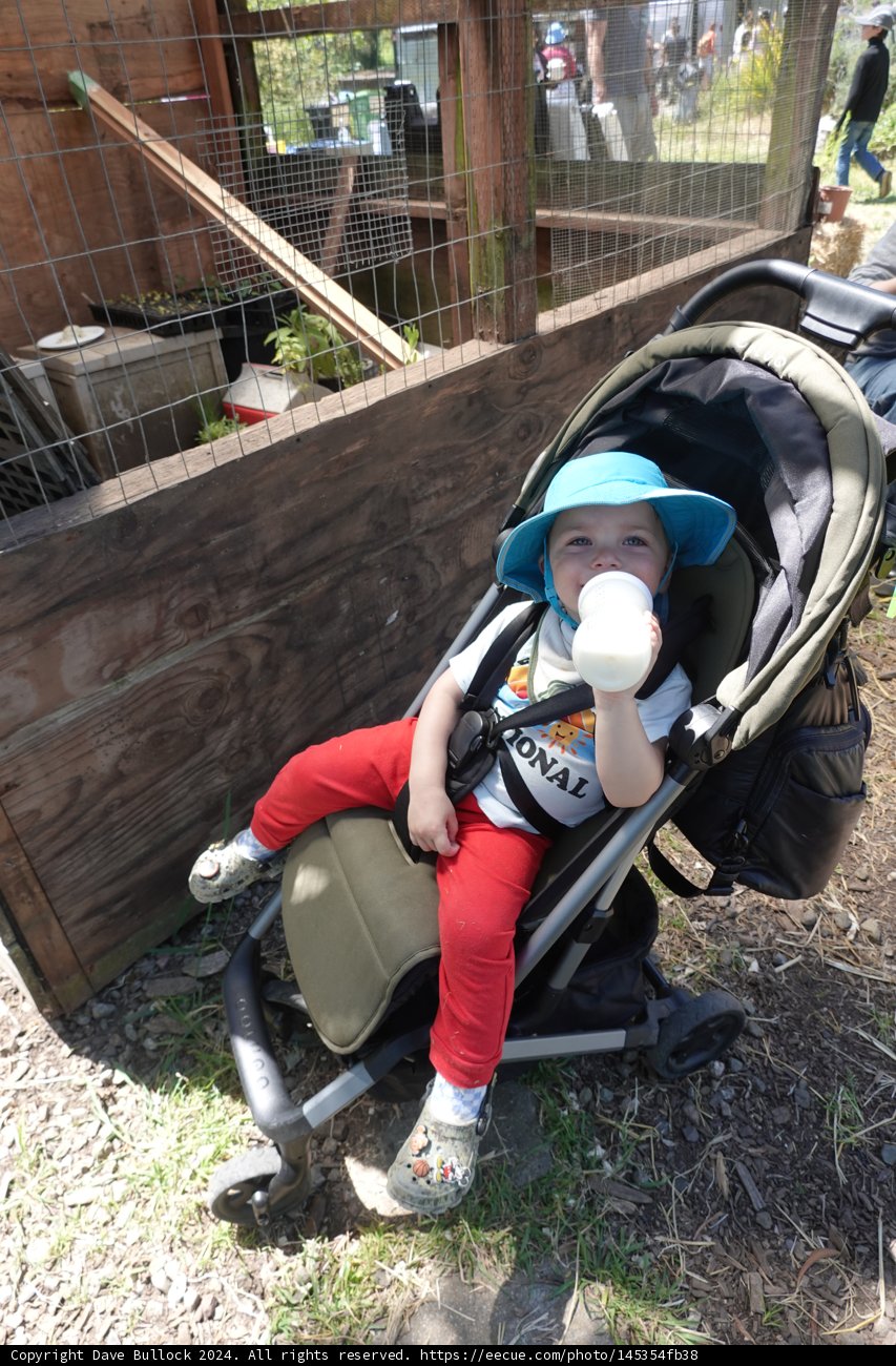 Little Explorer at Rest