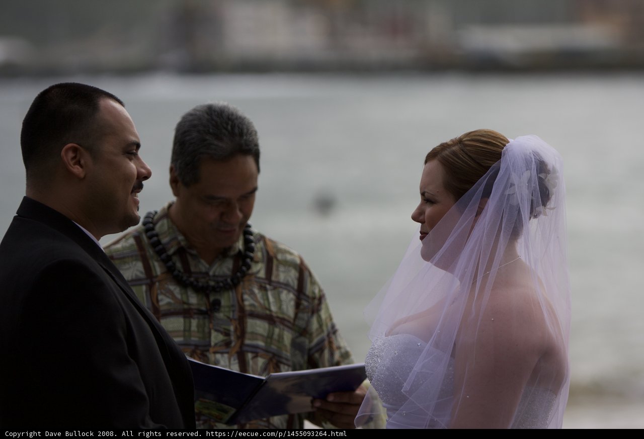 Hawaiian Wedding Ceremony