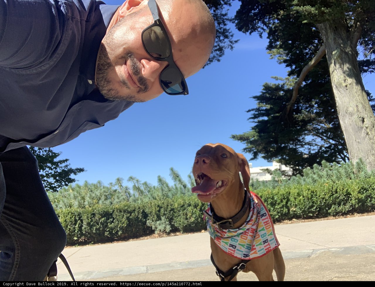 Selfie Time with My Canine Friend