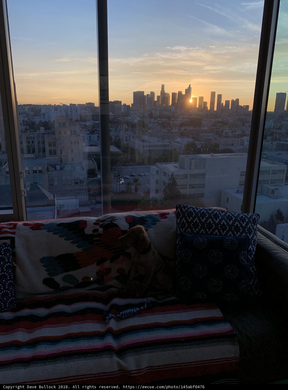 Cityscape View from My Cozy Living Room Window