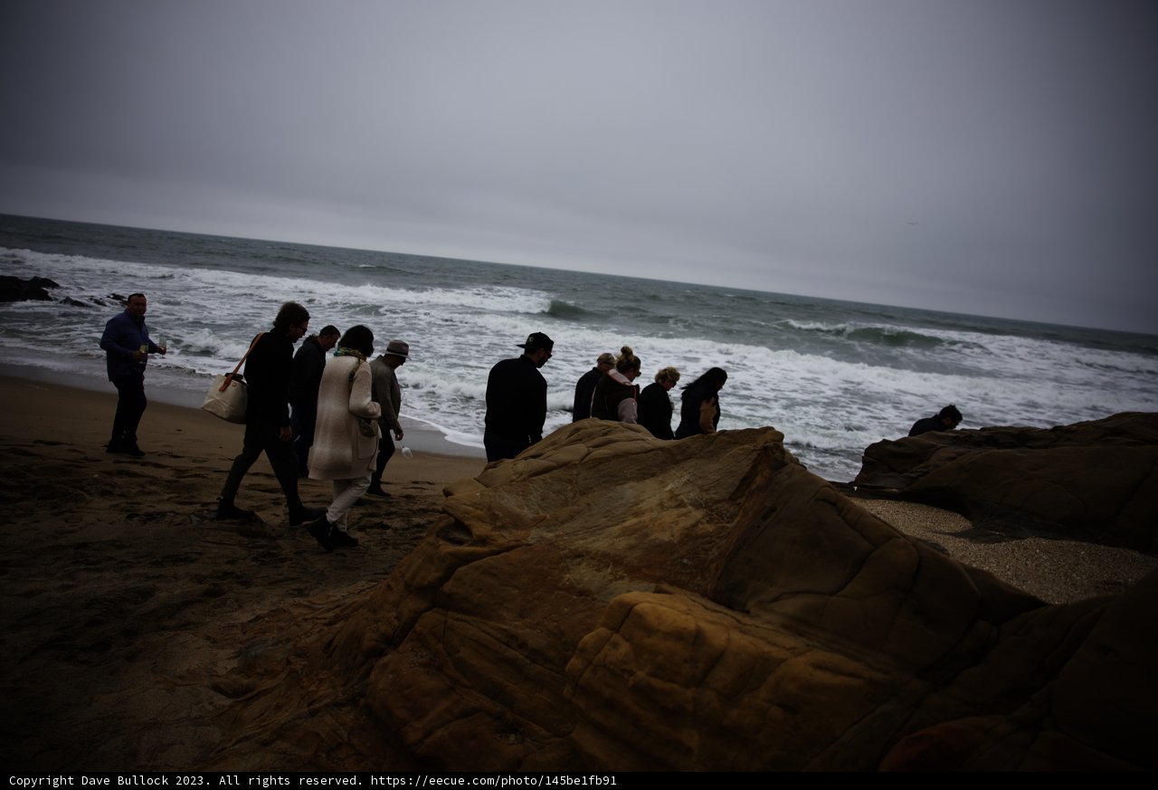 Unforgettable Gathering by the Shore