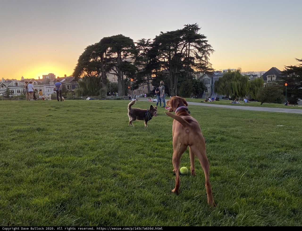 Sunset Playtime