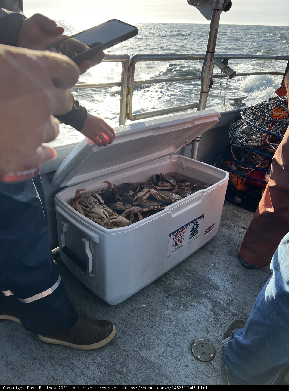 A Bounty of Fish from the Gulf of the Farallones