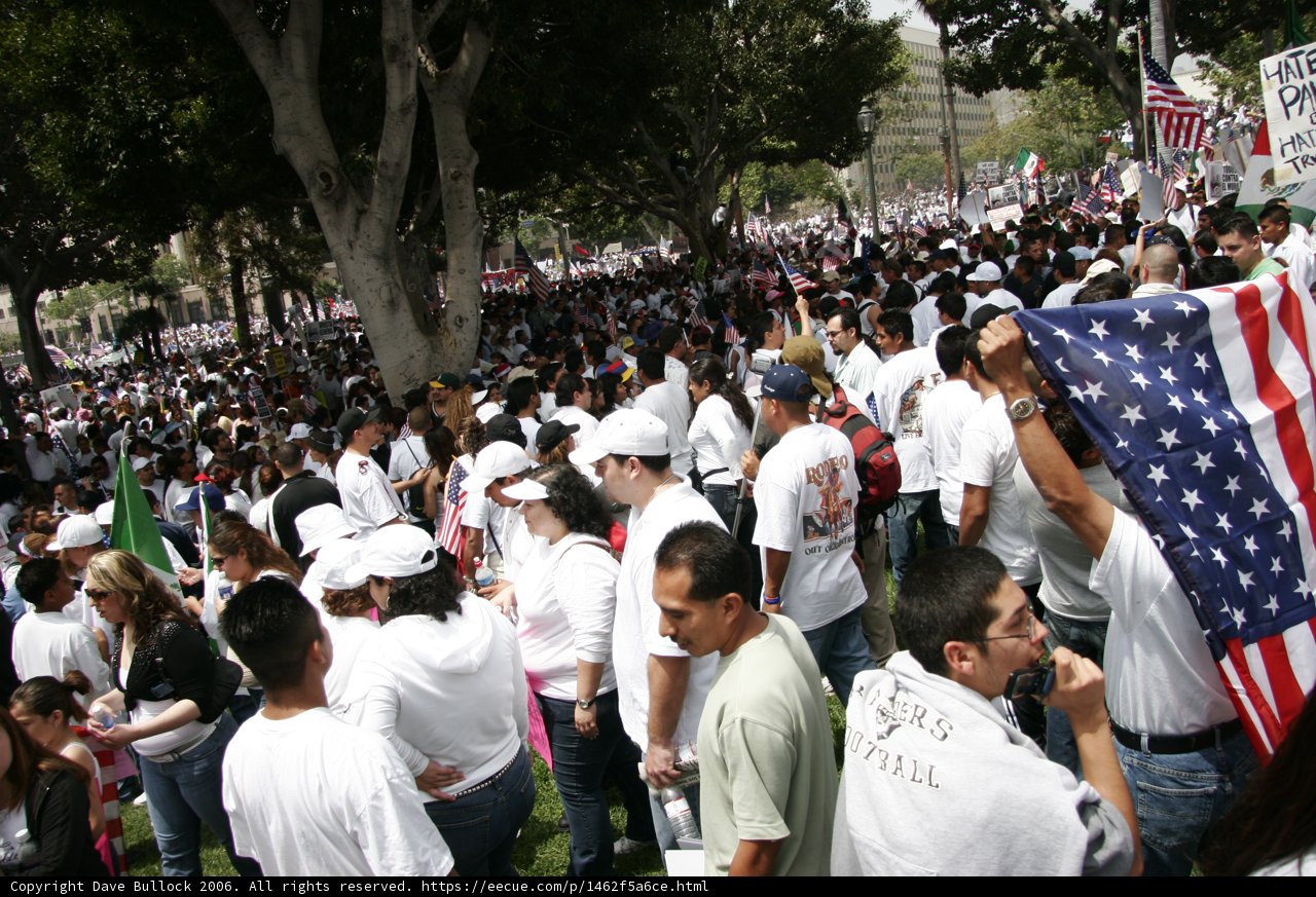Patriotic Crowd
