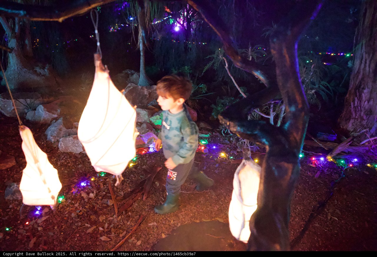Enchanted Stroll