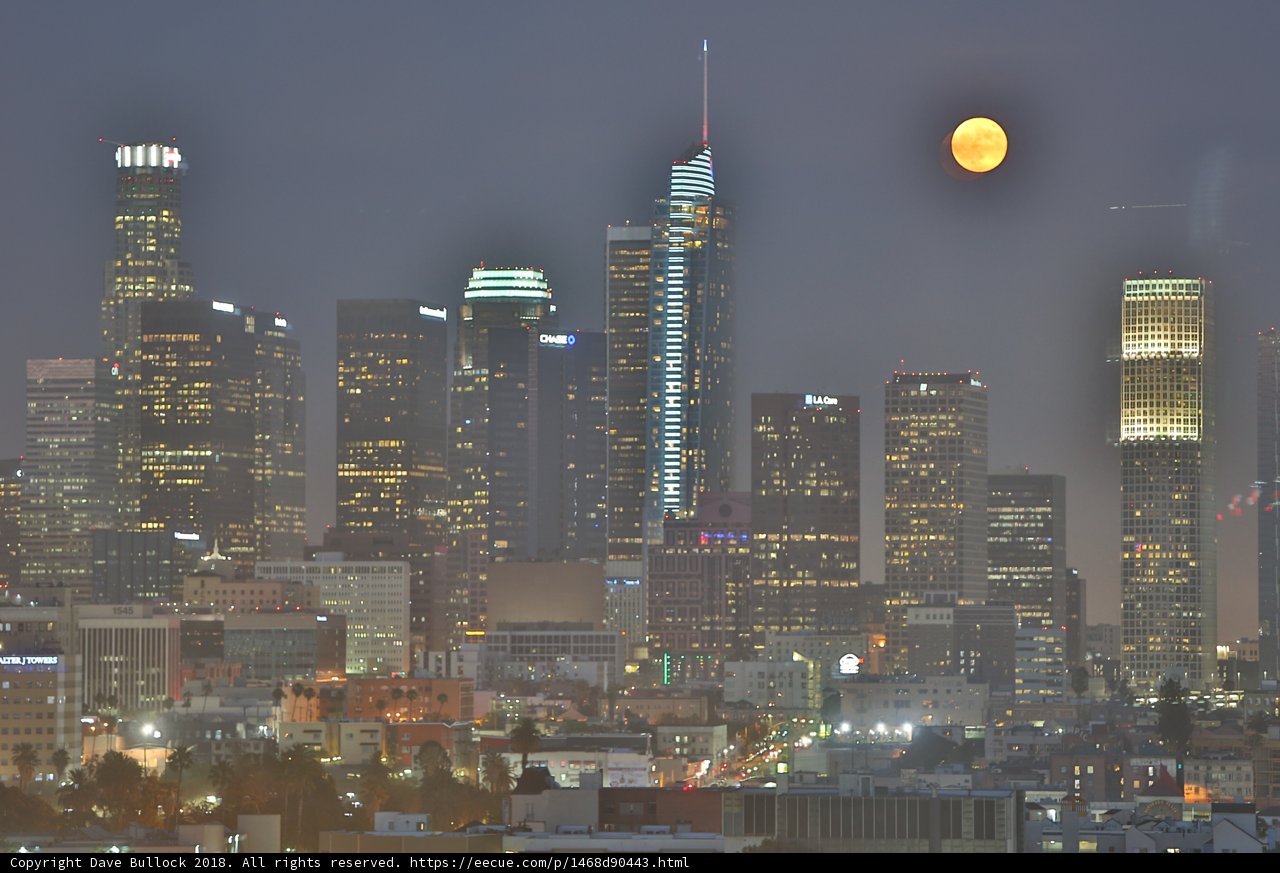 Moonlit Metropolis