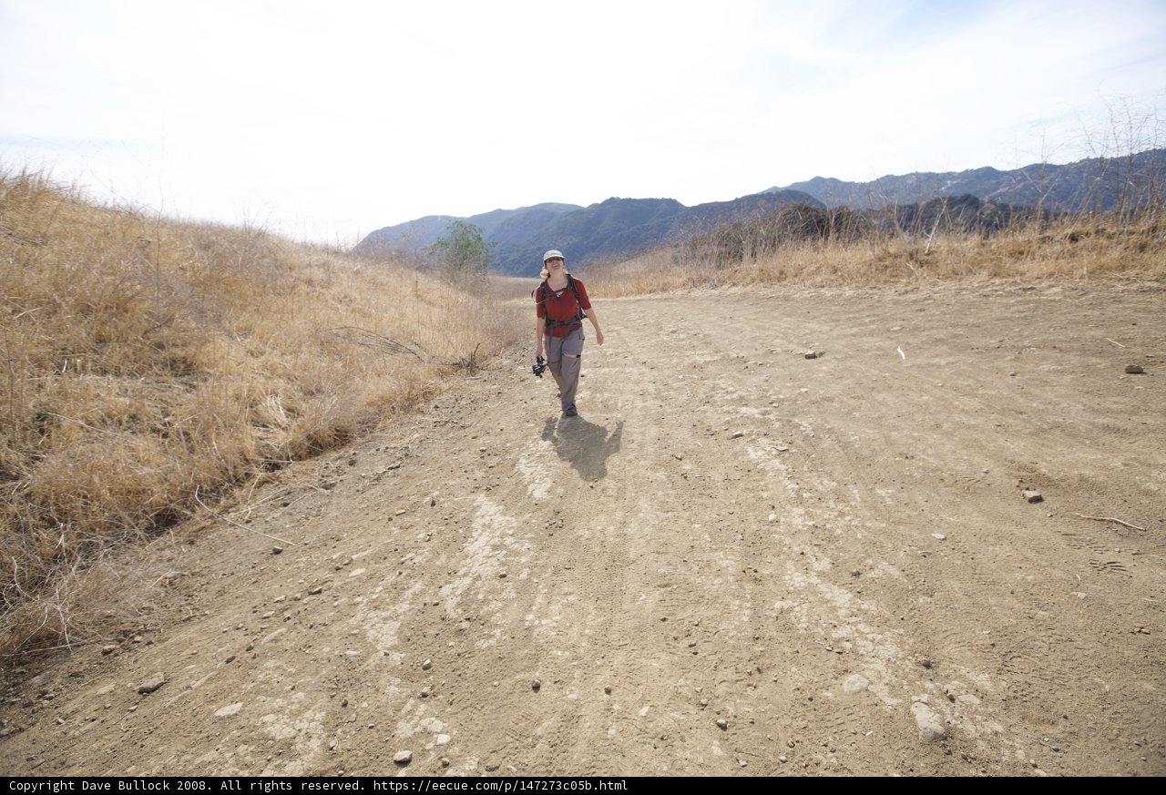 The Adventure of Walking in the Wilderness