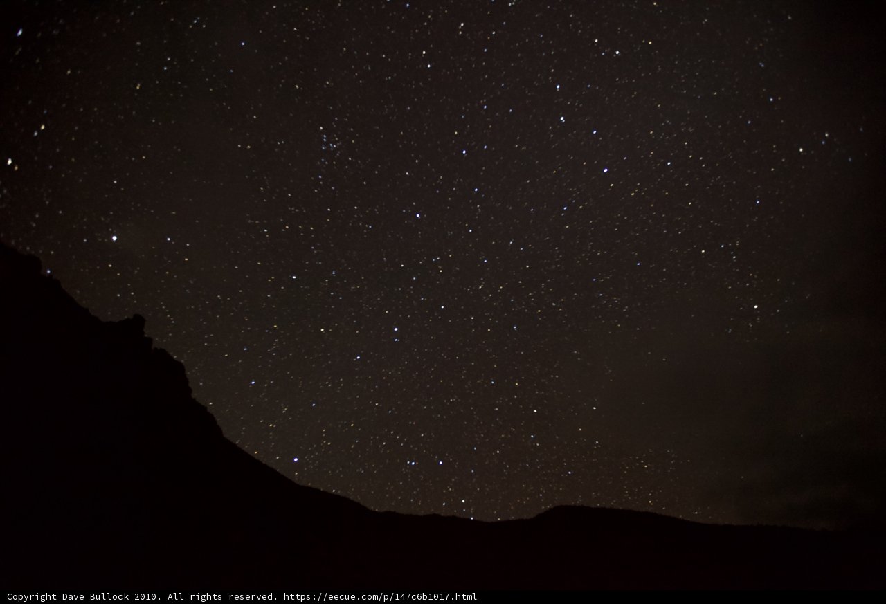 Starry Nighttime Wanderings