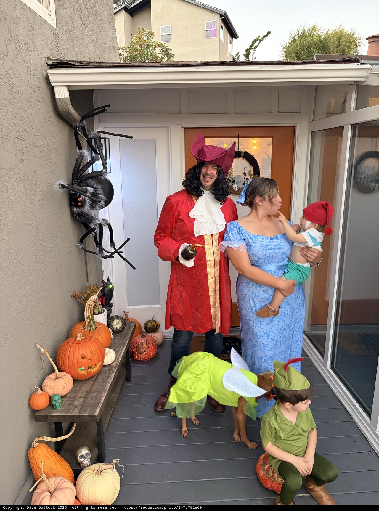 Peter Pan Family Costume for Halloween Celebration