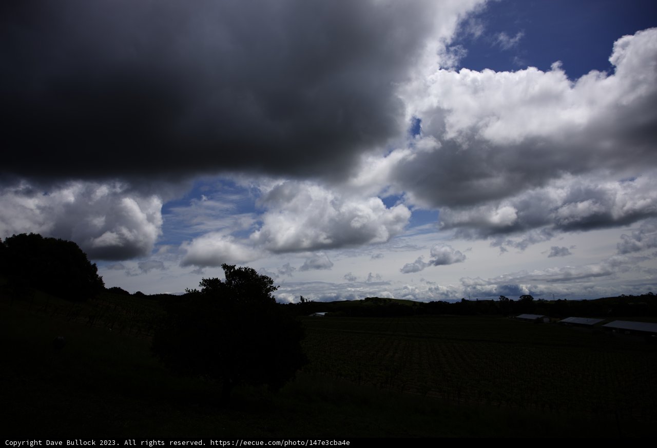 Cloudy Skies Over Scribe Vineyard