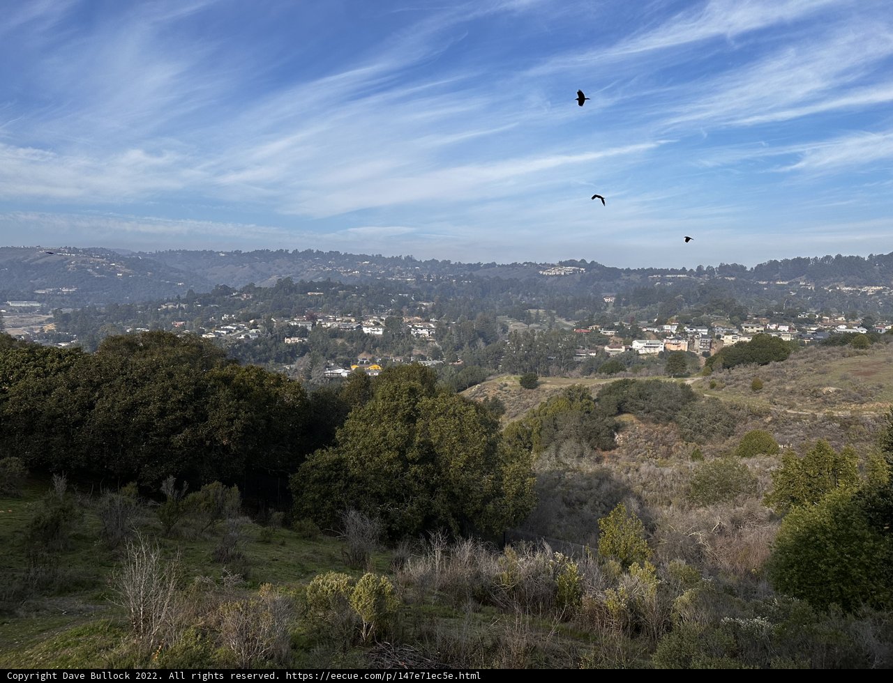 Above The City