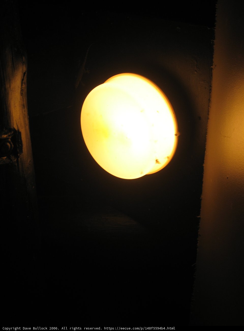 Illuminating the Night