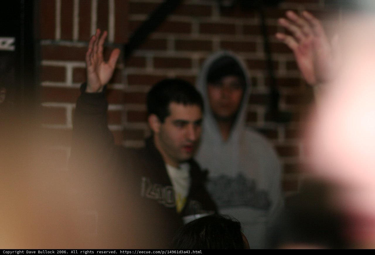 Hands Up in the Crowd
