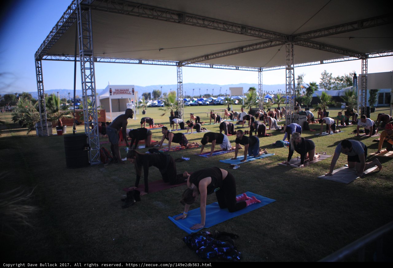 Yoga in the Fields