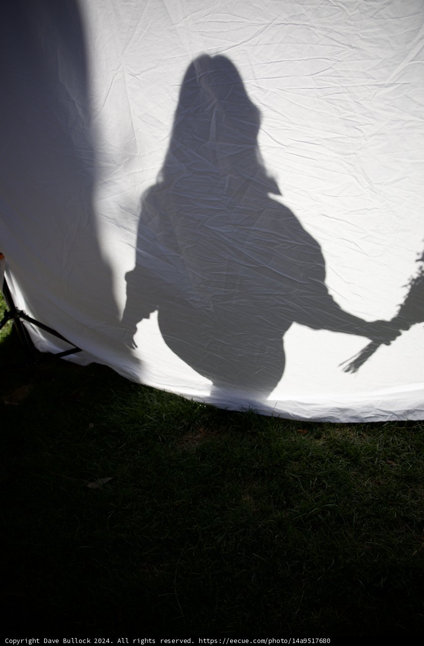 Awaiting Leland: A Silhouette on the Grass
