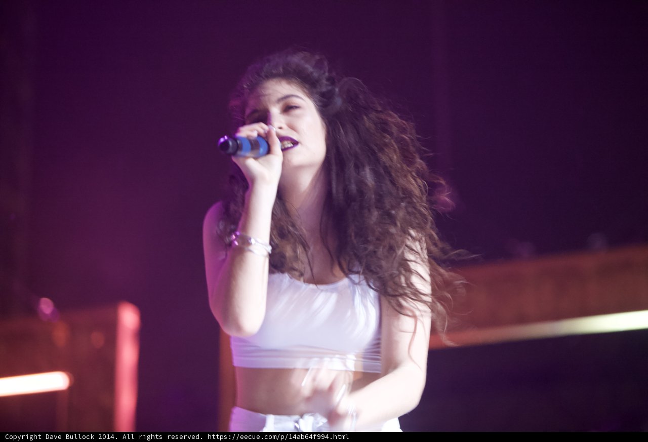 Solo Performance under the Coachella Lights