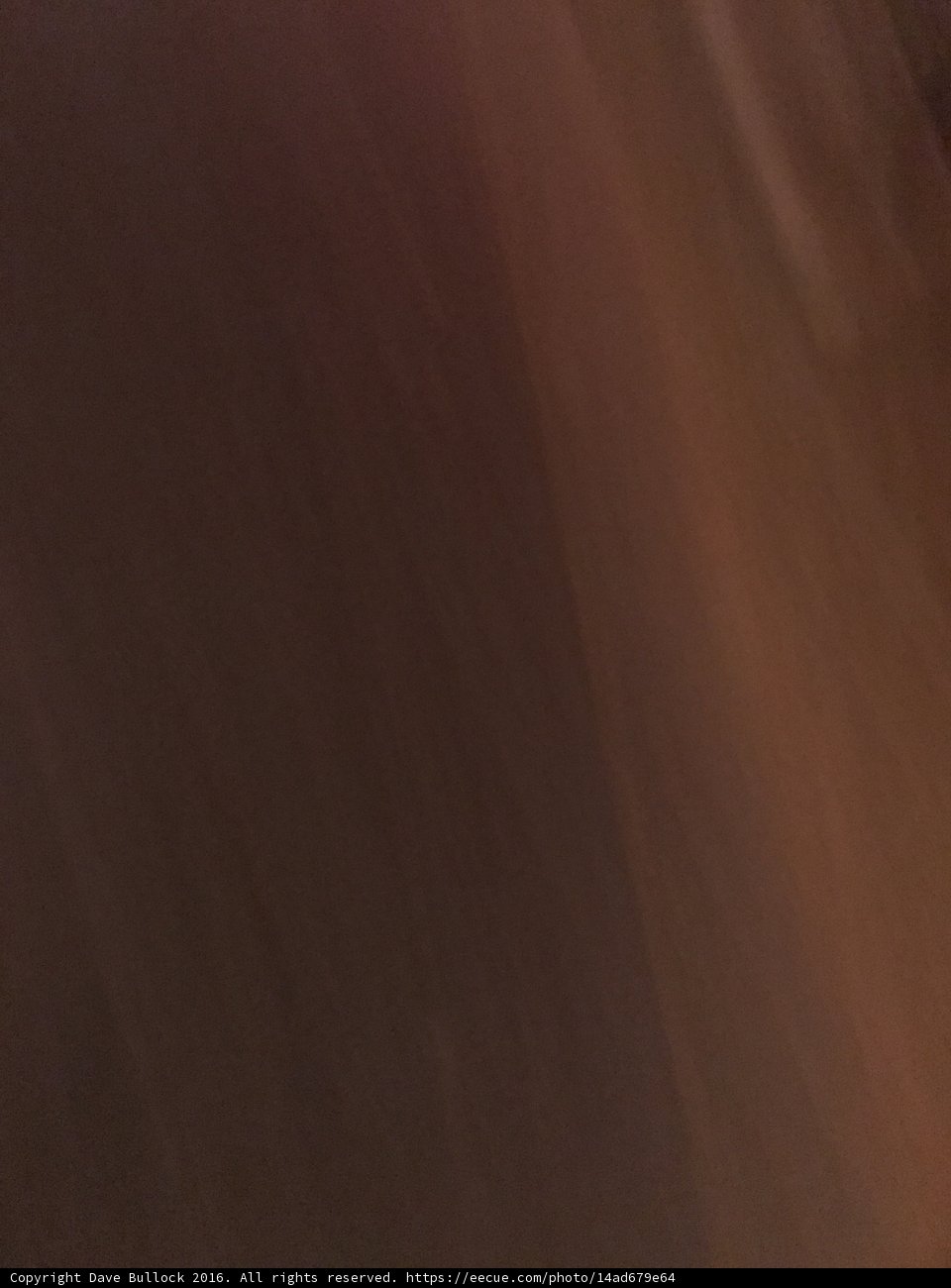 Blurry Skateboarder in a Natural Setting