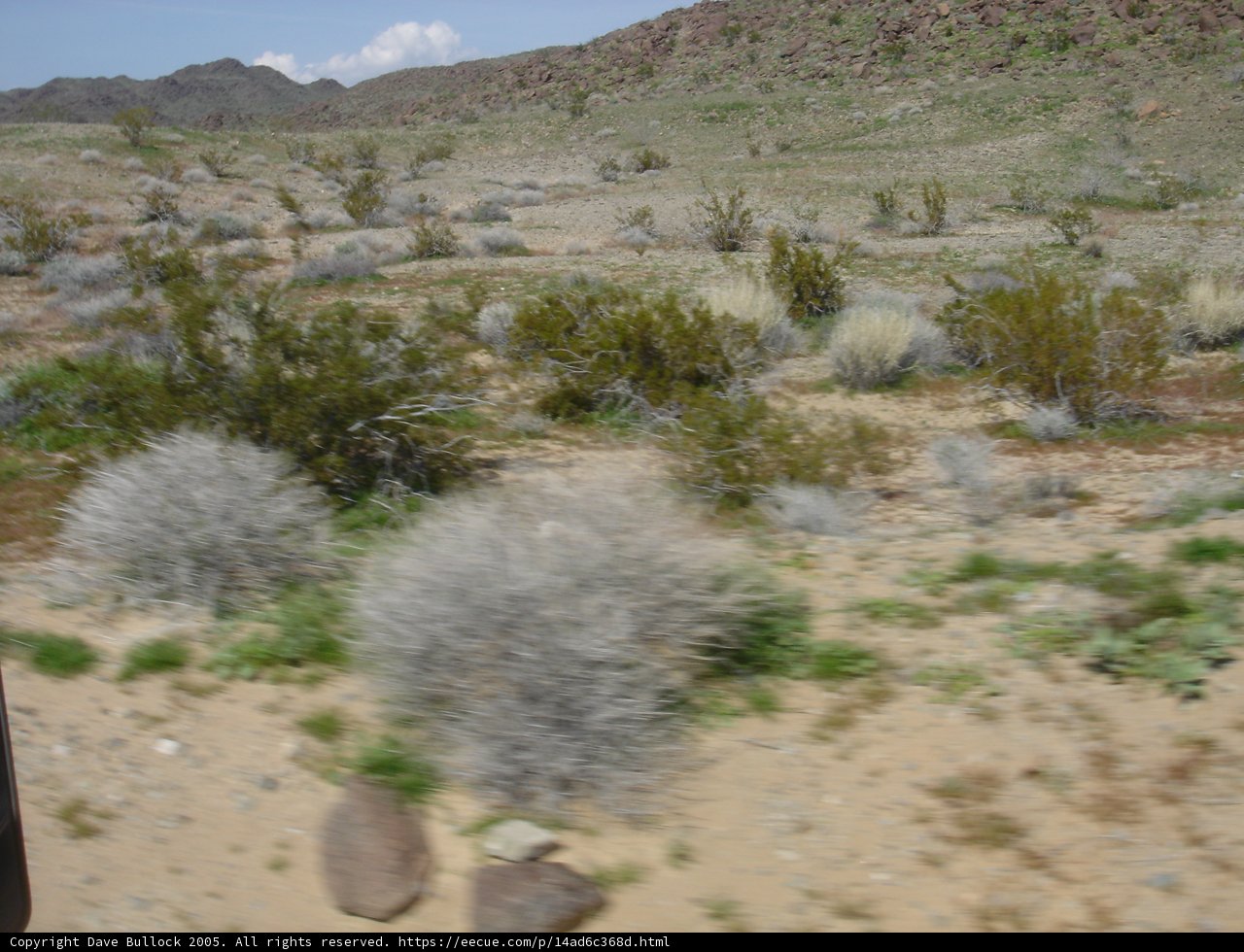 A Train's View of the Desert Landscape