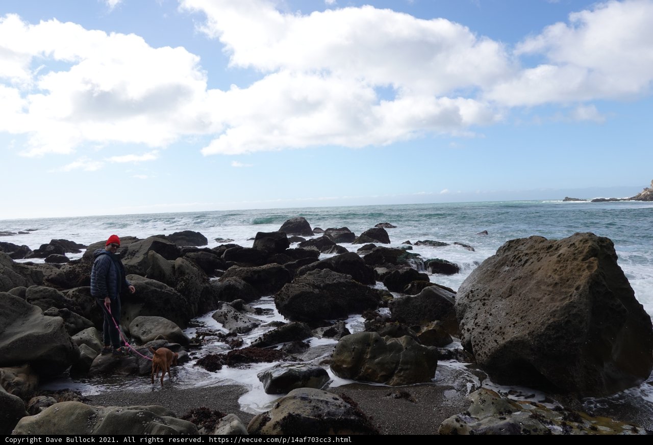 Rocky Beach Exploration