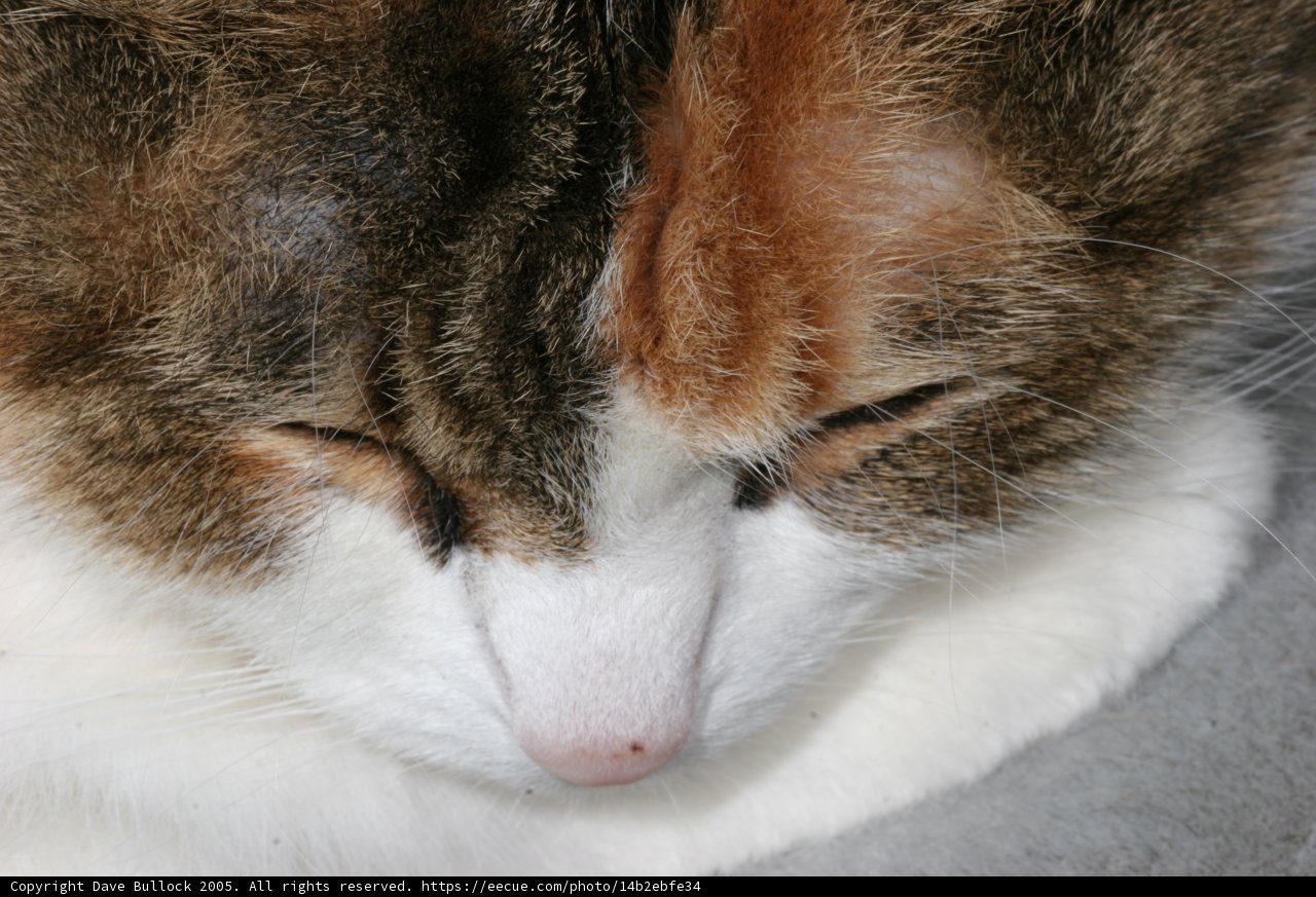 Serene Slumber