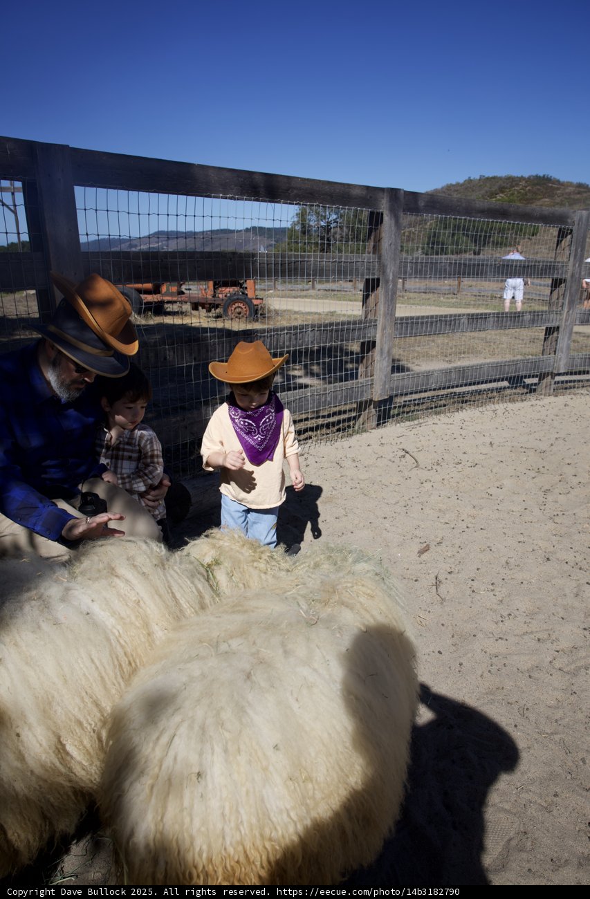 Ranch Adventures in Carmel Valley
