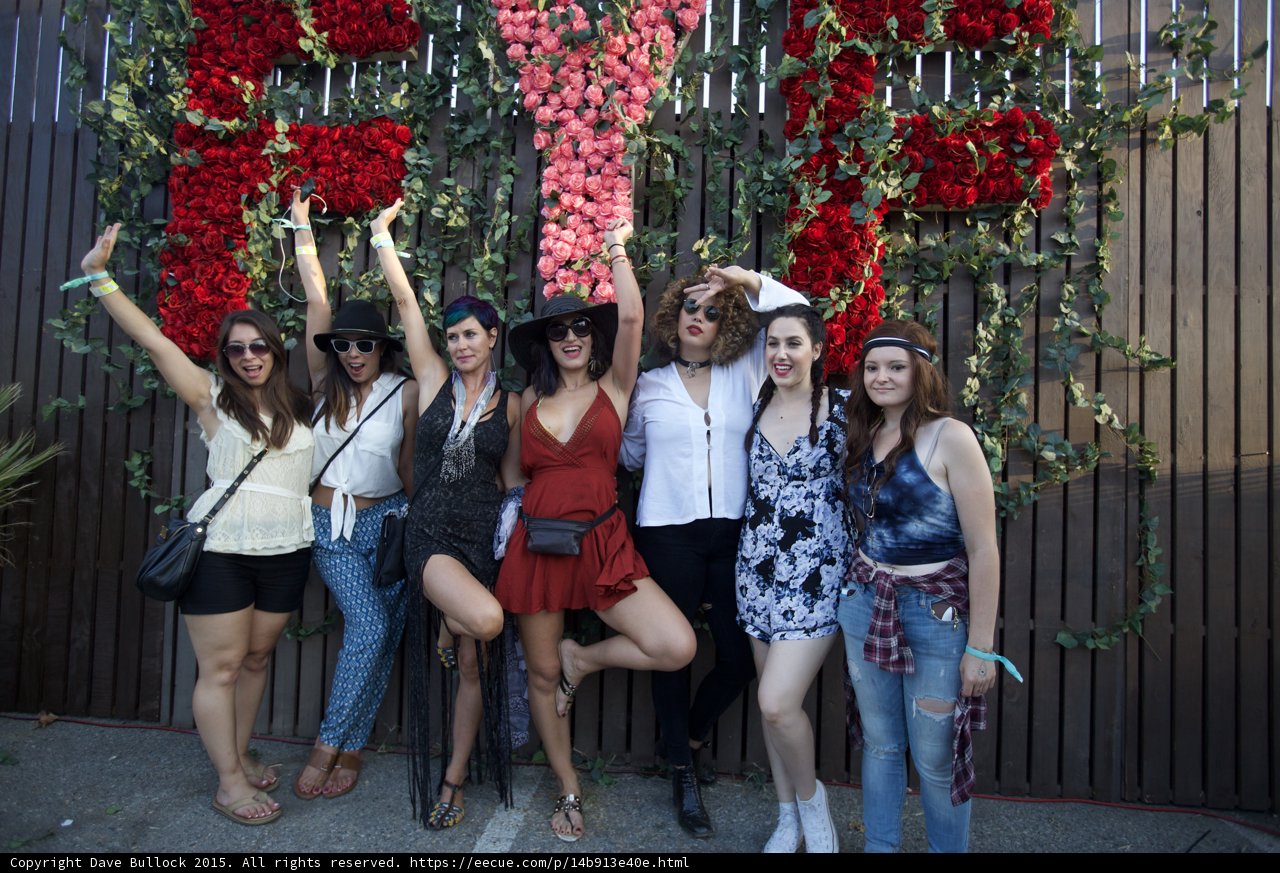 Flamingo Pose Rose Wall