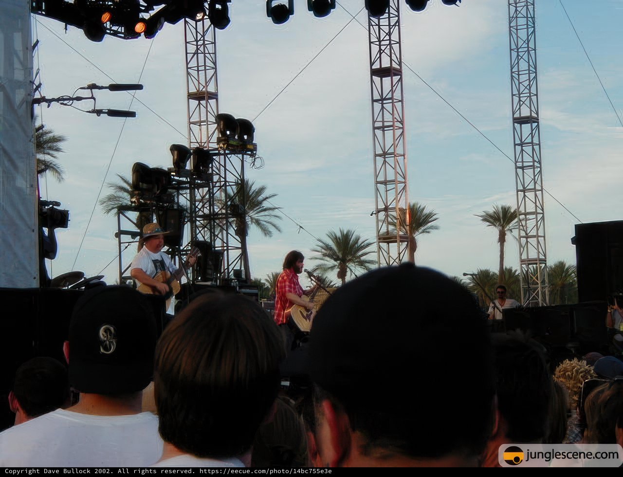 Rocking Out Under the Palm Trees