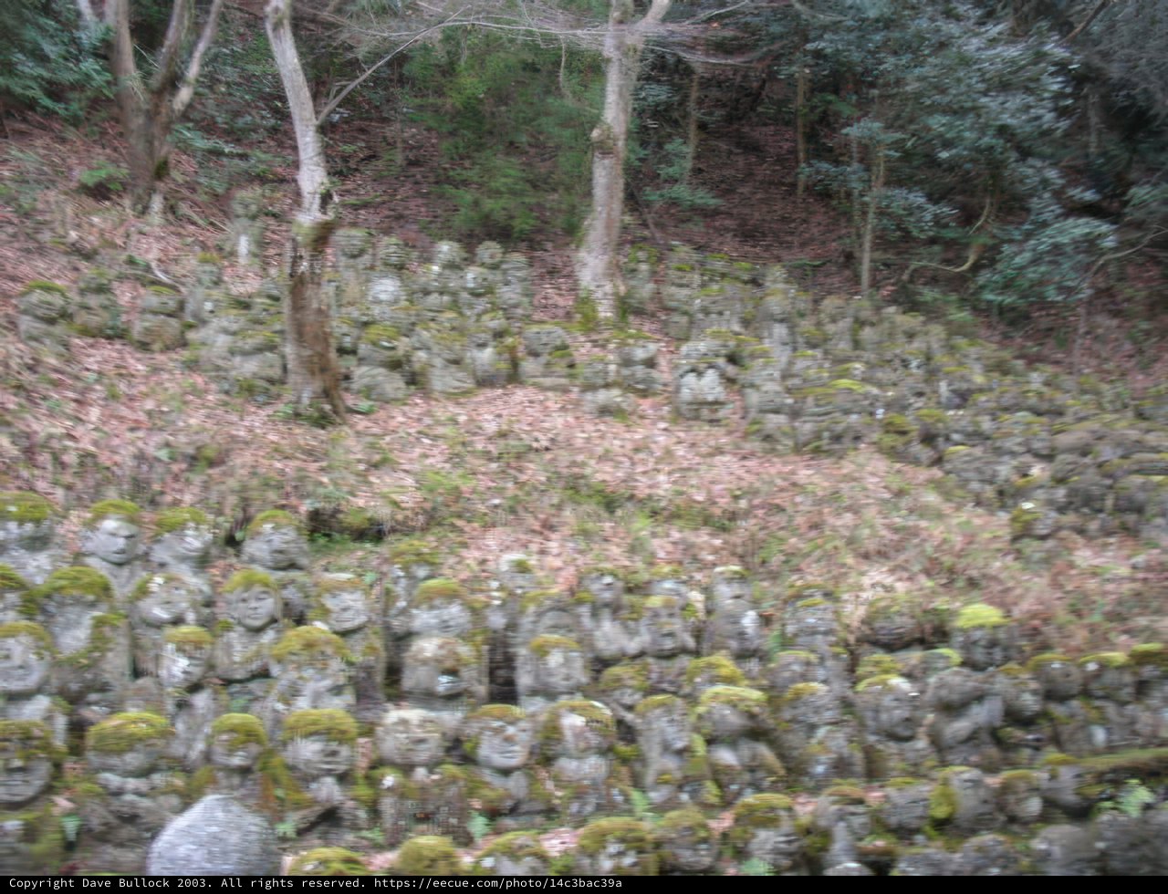 Stone guardians of the forest