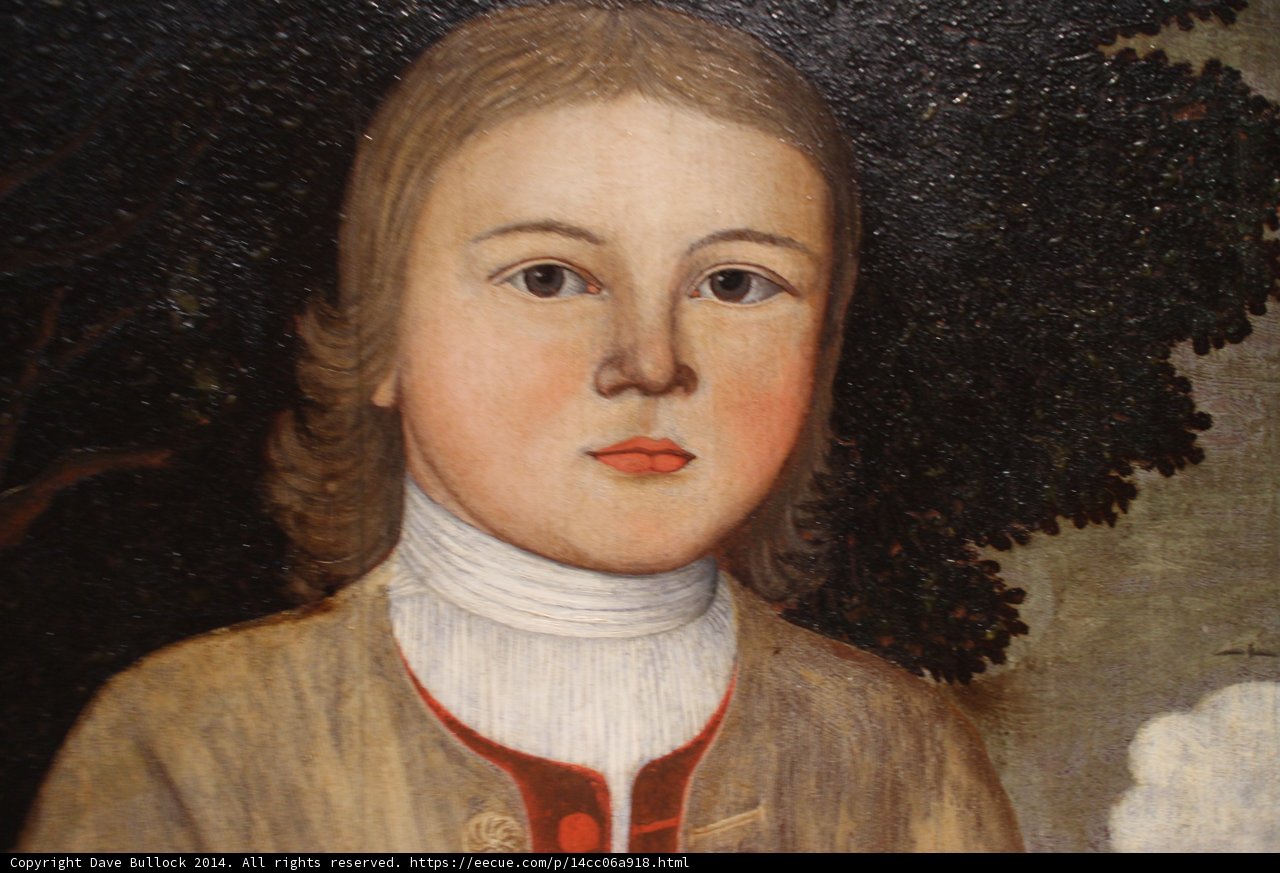 The Young Boy with the White Collar